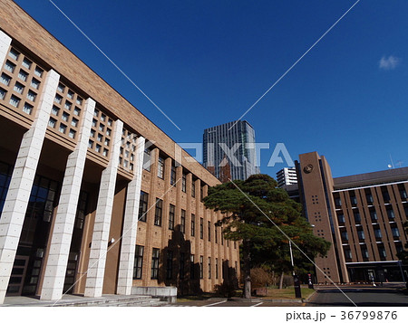 仙台市 青葉区 東北大学 片平キャンパス 仙台市 青葉区 東北大学 片平キャンパス 36799876