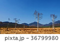 栃木県　日光　戦場ヶ原　 36799980