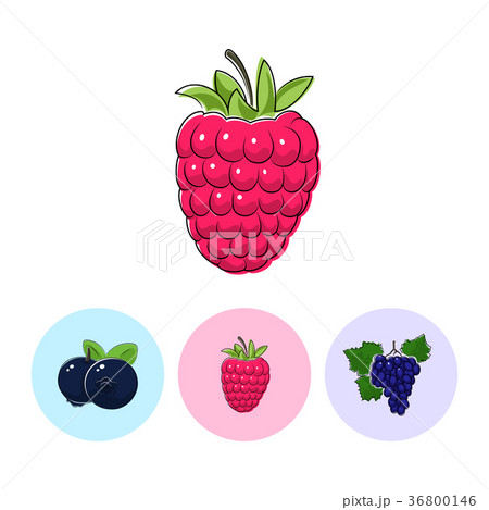 Fruit Icons, Raspberries ,Blueberries, Grapes 36800146