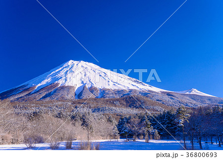 降雪の朝、西臼塚から富士山（静岡県） 36800693