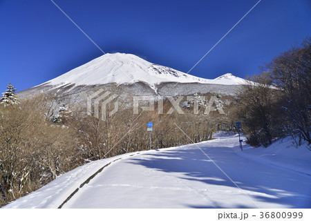 降雪の朝、富士山スカイラインから望む富士山頂（静岡県） 36800999