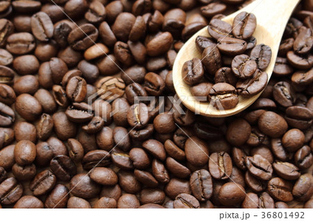 コーヒー豆　 36801492