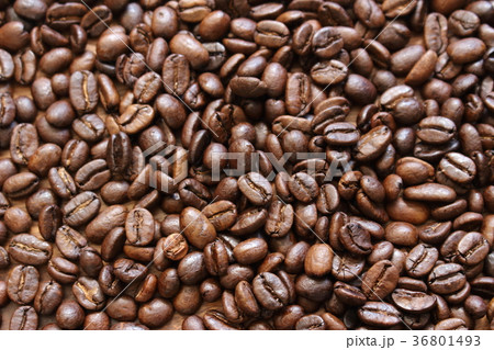 コーヒー豆　 36801493