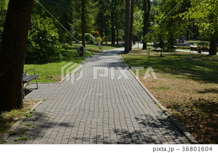 Path in a public park 36801604