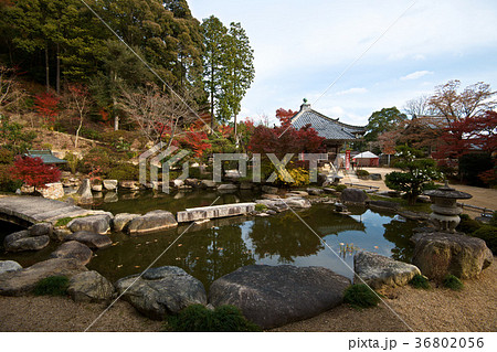 善水寺 紅葉2017 善水寺 紅葉2017 36802056
