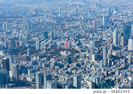 東京タワー周辺の空撮写真の写真素材