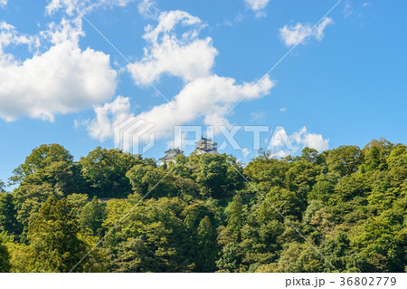 越前大野城 36802779