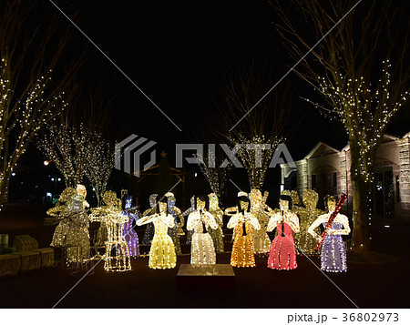 塩谷郡高根沢町 イルミネーション 2017~2018 塩谷郡高根沢町 イルミネーション 2017~2018 36802973