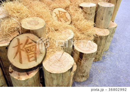 木材 材木 板材 36802992