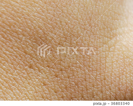 人の皮膚の接写 (テクスチャ素材) 36803340