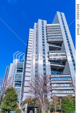 《埼玉県》さいたま新都心・都市風景 36803368
