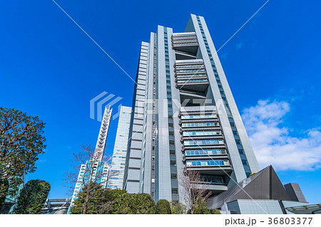 《埼玉県》さいたま新都心・都市風景 36803377