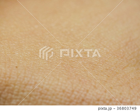 人の皮膚の接写 テクスチャ素材 の写真素材