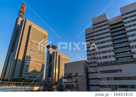《埼玉県》さいたま新都心・都市風景 36803810