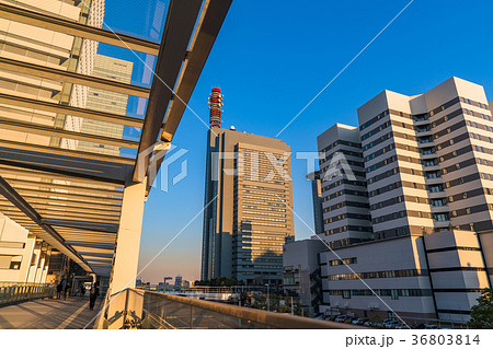 《埼玉県》さいたま新都心・都市風景 36803814