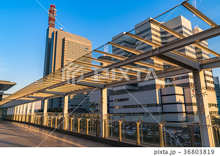 《埼玉県》さいたま新都心・都市風景 36803819