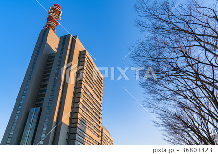 《埼玉県》さいたま新都心・都市風景 36803823