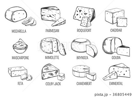 Set of isolated sketches of cheese types 36805449
