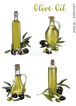 Bottles with olive oil sketches, branch with berry 36805467