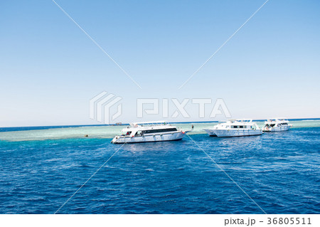 picturesque view of the red sea with three boats picturesque view of the red sea with three boats 36805511