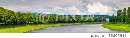 longest european linden alley in Uzhgorod 36805911