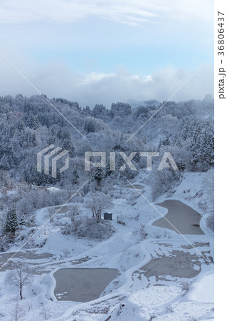 新潟県 蒲生の棚田 雪景色 36806437