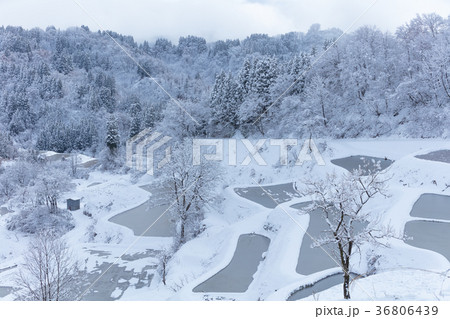 新潟県 蒲生の棚田 雪景色 36806439