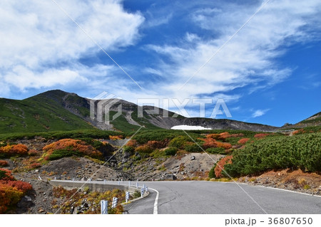 紅葉の季節を迎えた乗鞍岳 紅葉の季節を迎えた乗鞍岳 36807650