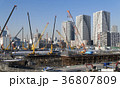 大規模建設現場　晴海 36807809