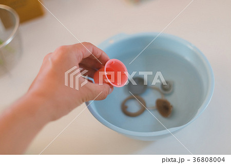 snapshot snapshot 36808004