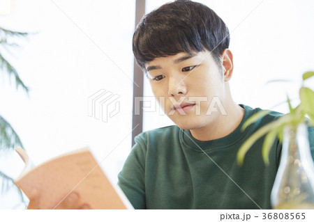 勉強 読書 若い男 36808565