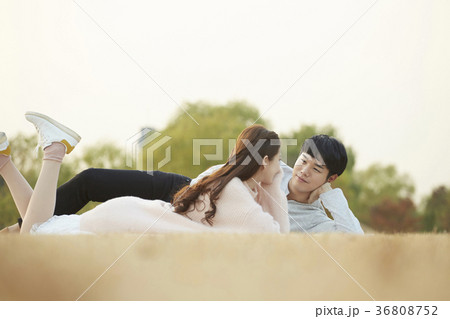 公園 木 屋外 36808752