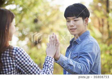 公園 愛 恋人 36808753