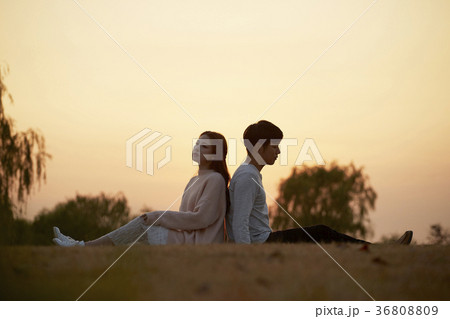 季節 木 屋外 36808809