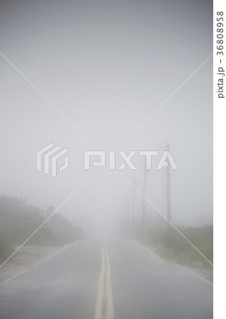 USA, Massachusetts, Nantucket Island, Road in fog USA, Massachusetts, Nantucket Island, Road in fog 36808958