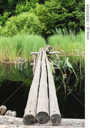 Ukraine, Dnepropetrovsk region, Novomoskovsk district, Wooden footbridge over waterbay 36809309