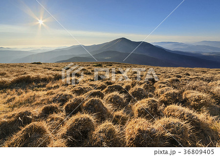 Ukraine, Zakarpattia region, Carpathians, Chornohora, mountain Petros, mountain Hoverla, Blue sky over field 36809405