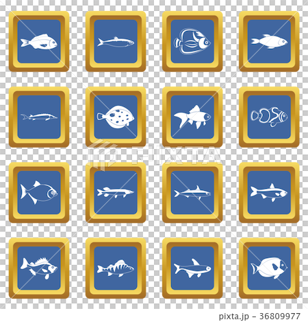 Fish icons set blue 36809977
