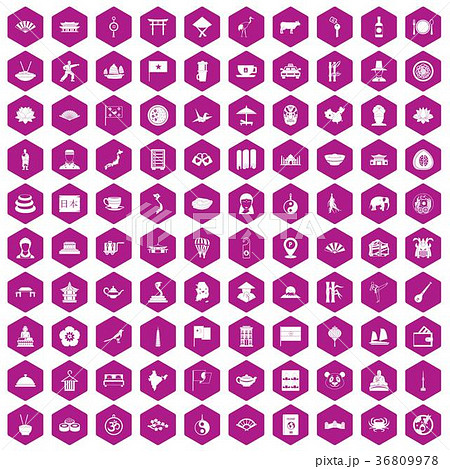 100 dish icons hexagon violet 36809978