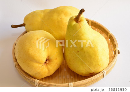 洋梨・ルレクチエ 36811950