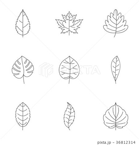 Spring leaf icons set, outline style Spring leaf icons set, outline style 36812314