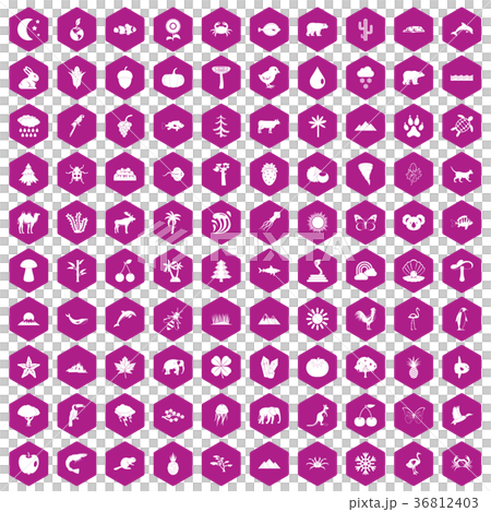 100 nature icons hexagon violet 36812403