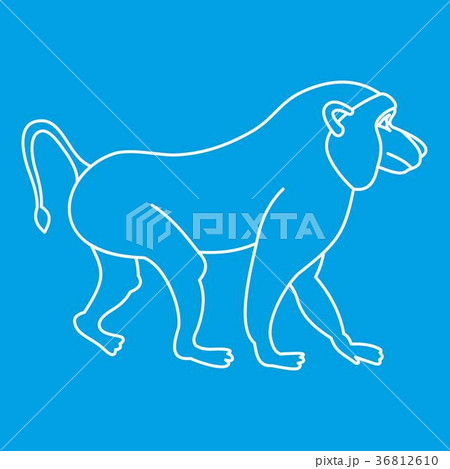 Macaque icon, outline style Macaque icon, outline style 36812610