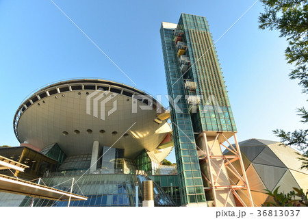 ビッグバン・泉北ニュータウン ビッグバン・泉北ニュータウン 36813037