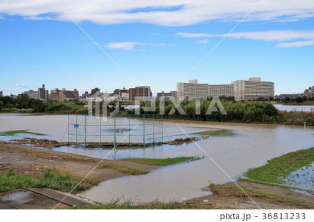 台風一過の多摩川河川敷(川崎側) 台風一過の多摩川河川敷(川崎側) 36813233