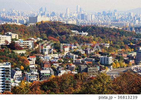 （韓国ソウル）梨泰院周辺の町並み 36813239