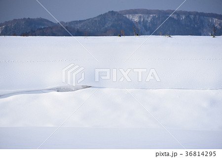 吹雪の翌日にできた雪庇の法面の風景を撮影 36814295