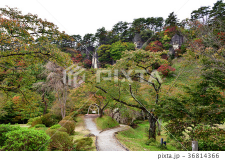 きみまち阪公園、カップルの散歩道 36814366