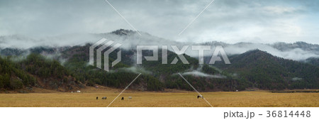 Autumn Landscape Mountain Autumn Landscape Mountain 36814448