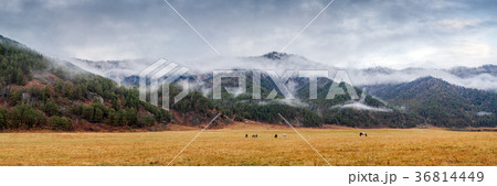 Autumn Landscape Mountain Autumn Landscape Mountain 36814449